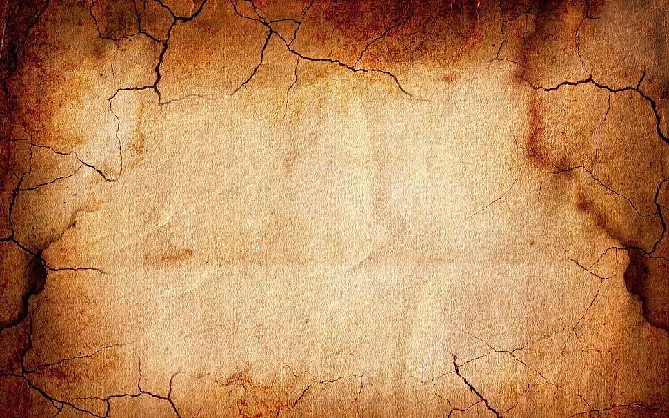 photo of brown phyrography HD wallpaper